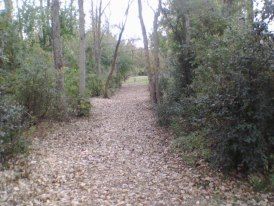 Tittabawassee Park, Main course, Hole 4 Tee pad