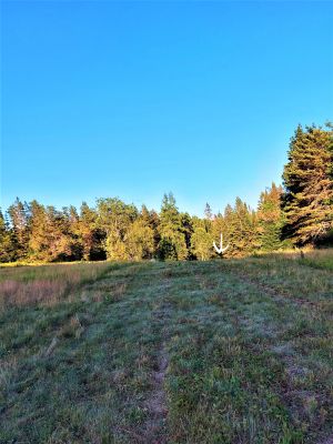 Bondi Cottage Resort, Wolf Tracks, Hole 4 Long approach