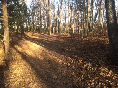 Quail Ridge, Main course, Hole 7 Tee pad