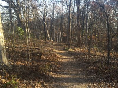 Quail Ridge, Main course, Hole 5 Tee pad