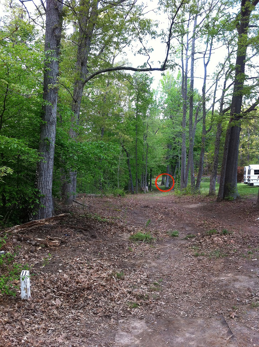 Hole 11 • Pratt Park (Fredericksburg, VA) Disc Golf Courses Disc