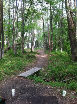 Hole 14 • Pratt Park (Fredericksburg, VA) | Disc Golf Courses | Disc ...