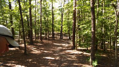 Pohick Bay Regional Park, Pohick Bay DGC, Hole 5 Tee pad