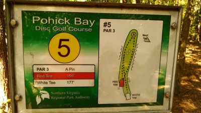 Pohick Bay Regional Park, Pohick Bay DGC, Hole 5 