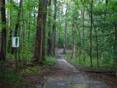 The Blockhouse Disc Golf Country Club, Main course, Hole 3 Tee pad