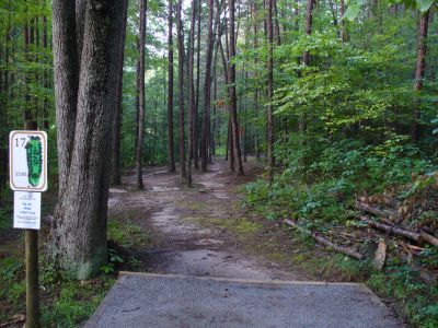 The Blockhouse Disc Golf Country Club, Main course, Hole 17 Tee pad