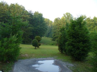 The Blockhouse Disc Golf Country Club, Main course, Hole 11 Tee pad