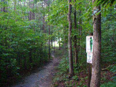 The Blockhouse Disc Golf Country Club, Main course, Hole 18 Tee pad