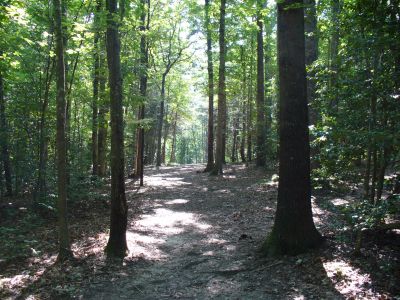 The Blockhouse Disc Golf Country Club, Course 2, Hole 4 Tee pad