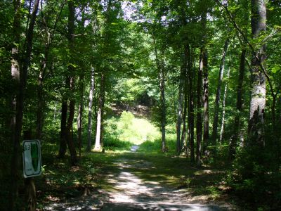 The Blockhouse Disc Golf Country Club, Course 2, Hole 13 Tee pad