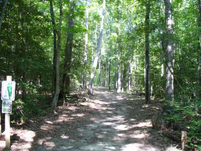 The Blockhouse Disc Golf Country Club, Course 2, Hole 5 Tee pad