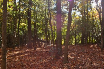 Bennett's Creek Park, Bennett's Creek Disc Golf Course, Hole 12 Short approach