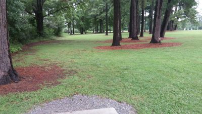 Munden Point, Main course, Hole 10 Short tee pad