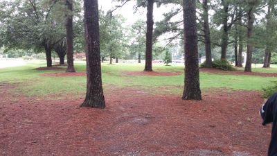 Munden Point, Main course, Hole 4 Short tee pad