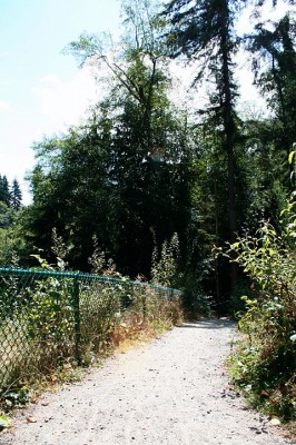 Terrace Creek, Main course, Hole 12 