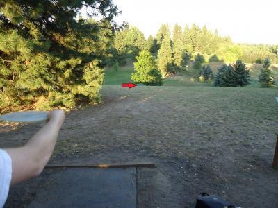 Sunnyside Park, Main course, Hole 12 Tee pad