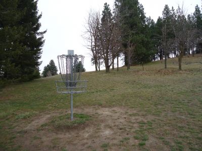 Sunnyside Park, Main course, Hole 3 Reverse (back up the fairway)