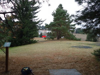 Sunnyside Park, Main course, Hole 6 Tee pad