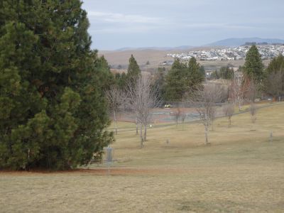 Sunnyside Park, Main course, Hole 17 Short approach