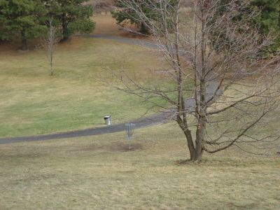 Sunnyside Park, Main course, Hole 12 Midrange approach