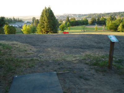 Sunnyside Park, Main course, Hole 17 Tee pad