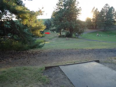 Sunnyside Park, Main course, Hole 15 Tee pad