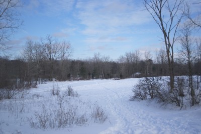 Grand Woods Park, Main course, Hole 12 Tee pad