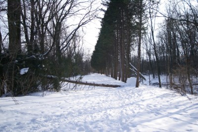 Grand Woods Park, Main course, Hole 8 Tee pad