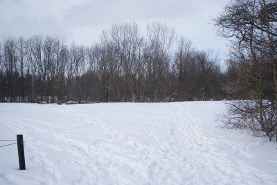 Grand Woods Park, Main course, Hole 1 Tee pad