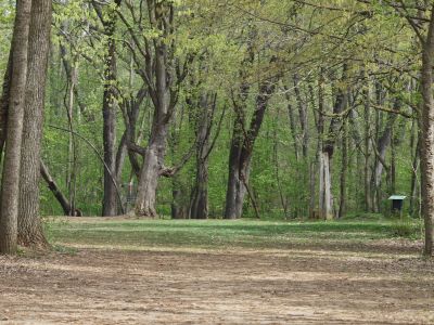 Grand Woods Park, Main course, Hole 3 Midrange approach