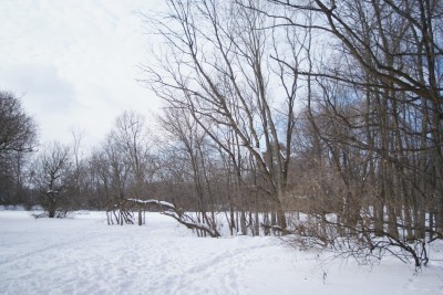 Grand Woods Park, Main course, Hole 4 Tee pad