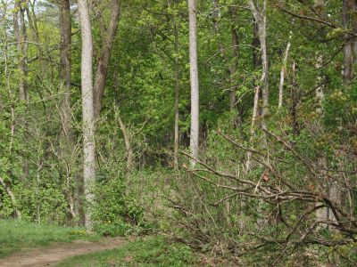 Grand Woods Park, Main course, Hole 4 Tee pad