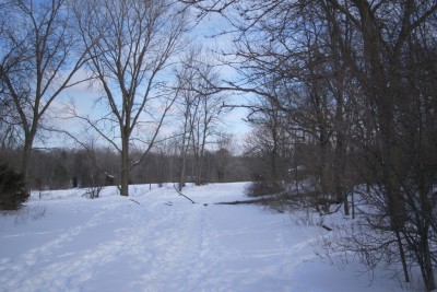 Grand Woods Park, Main course, Hole 11 Tee pad