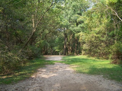 Grand Woods Park, Main course, Hole 3 Tee pad