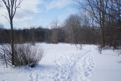 Grand Woods Park, Main course, Hole 6 Tee pad