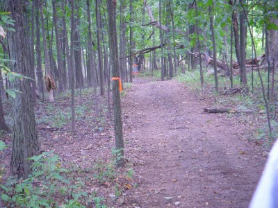 Independence Lake County Park, Picnic Course, Hole 14 Tee pad