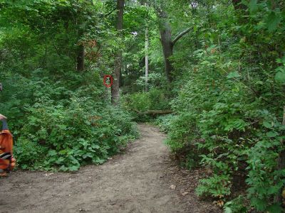 McGraft Park, Main course, Hole 17 Tee pad