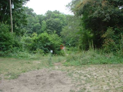 McGraft Park, Main course, Hole 16 Tee pad