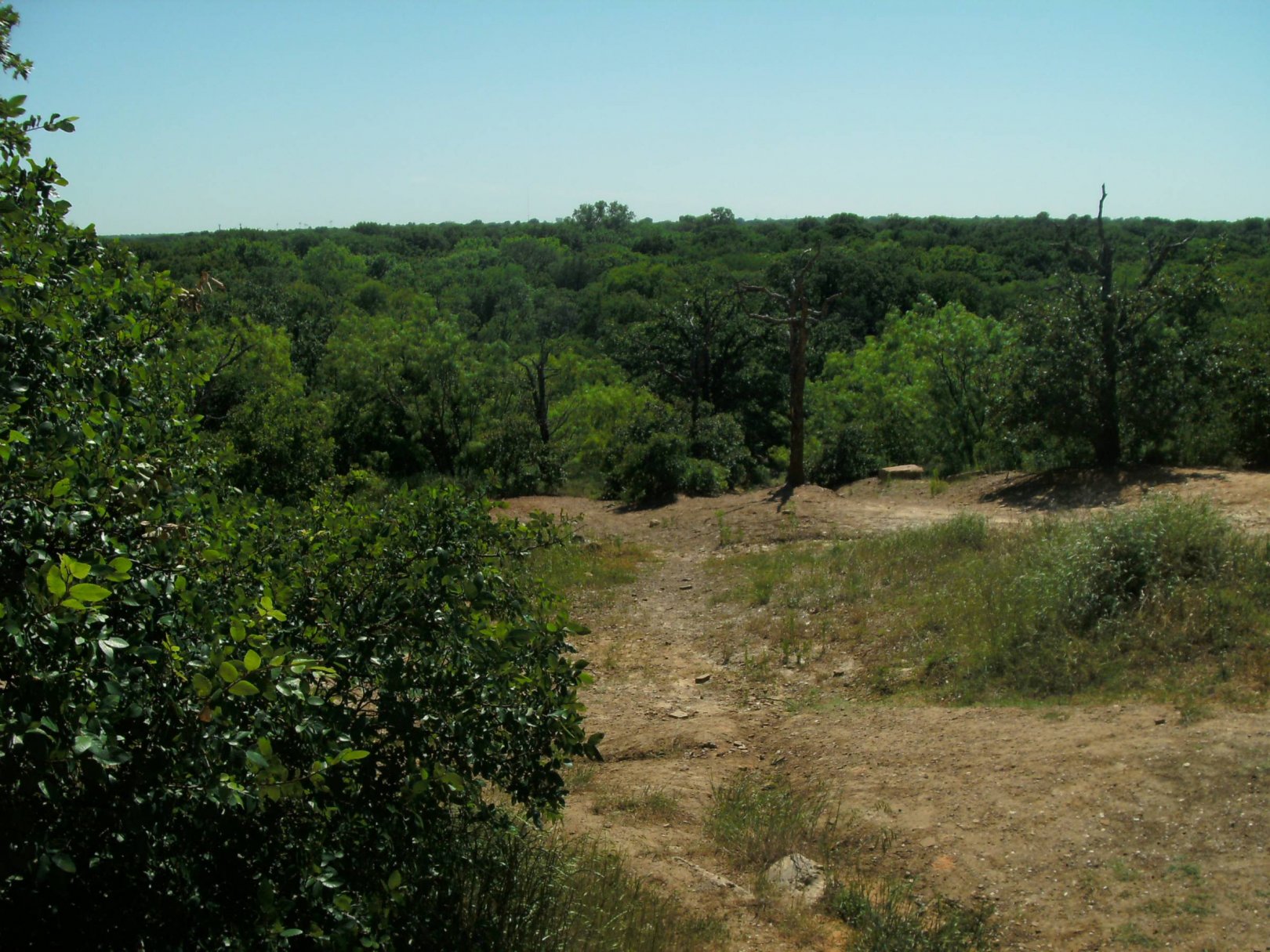 Hole 5 • Veteran's Park (Arlington, TX) Disc Golf Courses Disc Golf