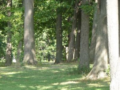 Riverview Grasslands, Main course, Hole 5 Short approach