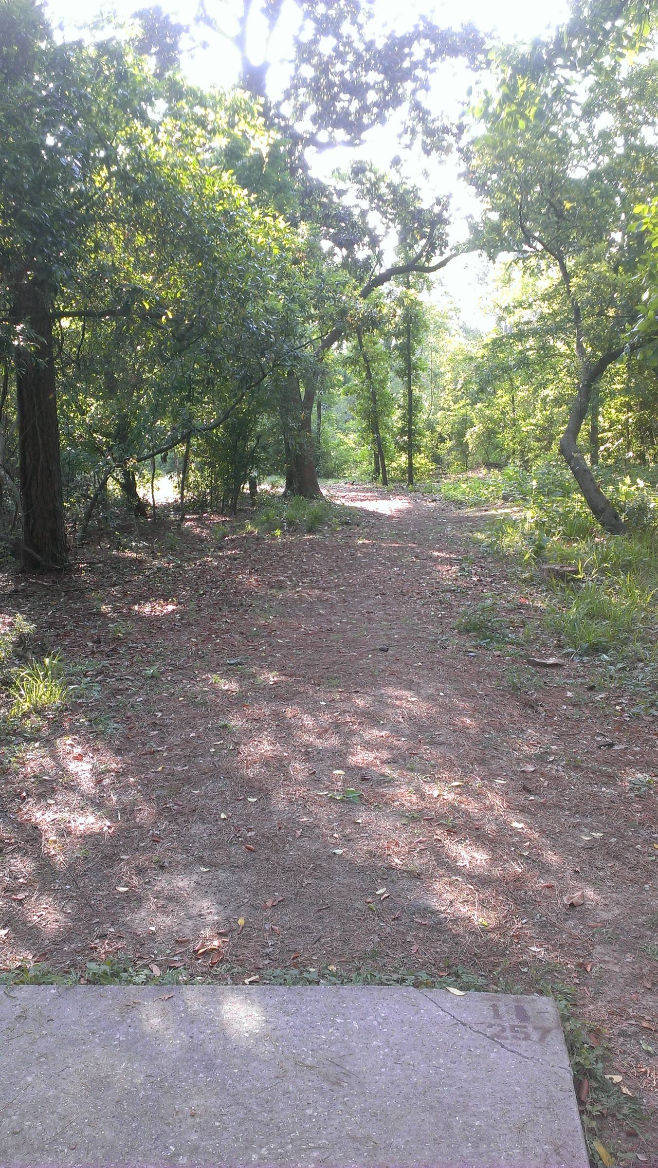 Hole 1 • River Grove (Kingwood, TX) Disc Golf Courses Disc Golf Scene