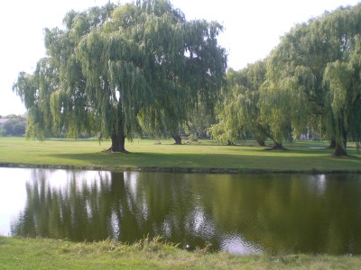 Sunrise Park, Main course, Hole 8 Tee pad