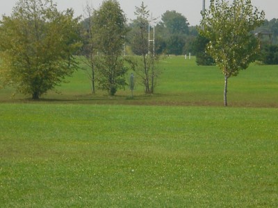 Lippold Park, Main course, Hole 5 Long approach