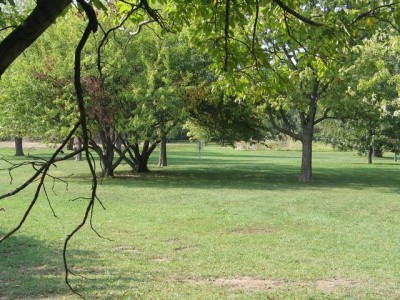 Madison Meadow Park, Main course, Hole 15 Short approach