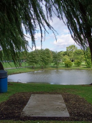 Madison Meadow Park, Main course, Hole 19 Long tee pad