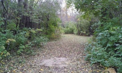 Woodlands, Main course, Hole 5 Long tee pad