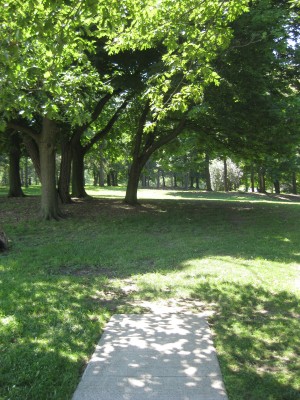 Lake Shore Park, Main course, Hole 6 Middle tee pad