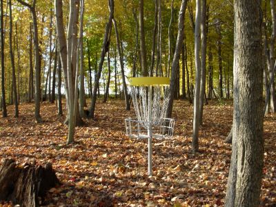 Aumiller Park, Main course, Hole 8 Reverse (back up the fairway)