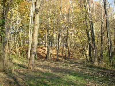 Aumiller Park, Main course, Hole 9 Tee pad