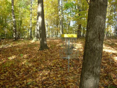 Aumiller Park, Main course, Hole 3 Reverse (back up the fairway)